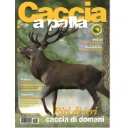 Caccia a palla nr°4 in edicola dal 6 settembre 2010